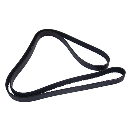 SERPENTINE BELT (GATORBACK)