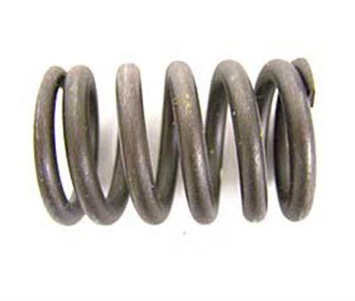 VALVE SPRING