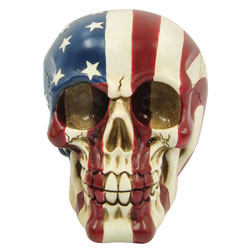 Skull American Flag