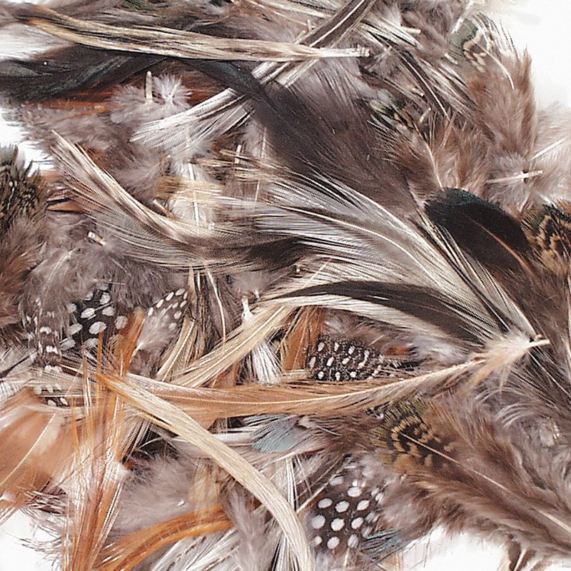 Natural Feathers, Natural Assorted Colors, Assorted Sizes, 1/2 oz