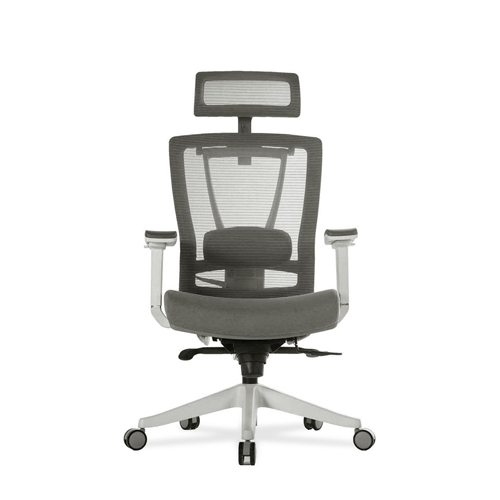 Premium Ergonomic Office Chair: Executive Swivel, 2-Way Lumbar Support, Thick Seat Cushion, Adjustable Seat Slide or Slope, 3-Wa