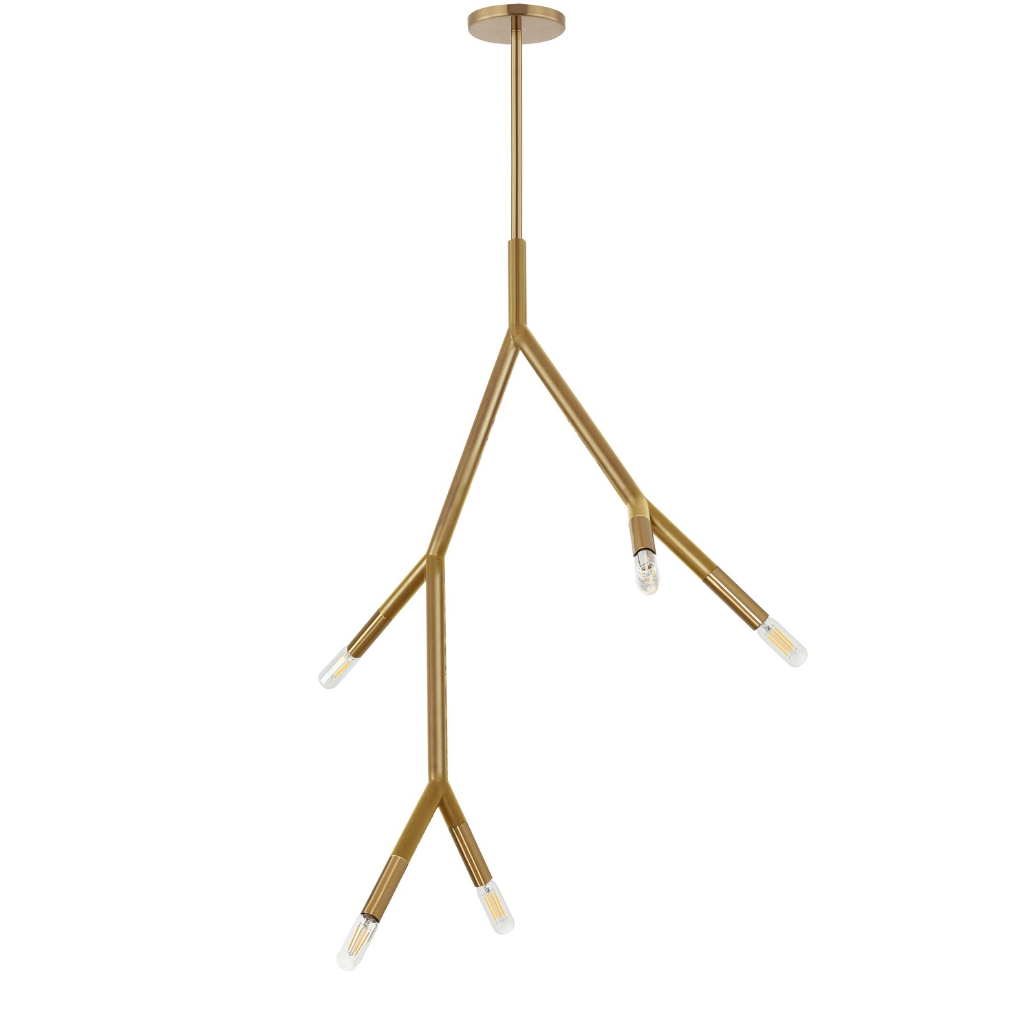 5 Light Incandescent Pendant in Aged Brass