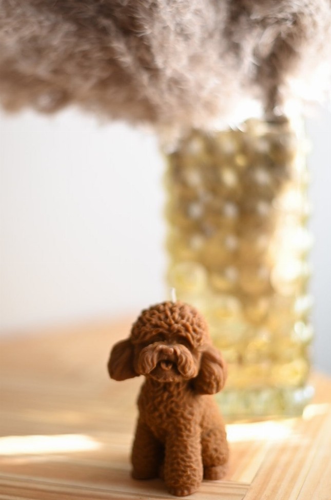 Poodle Collection - Honey Brown (Mezcal)