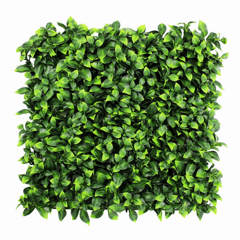 Sample Panel of Artificial Green Wall Vertical Garden (Small Sample) - Jasmine