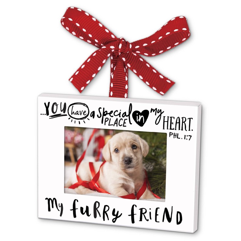 Ornament Frame Furry Friend Ribbon Hang