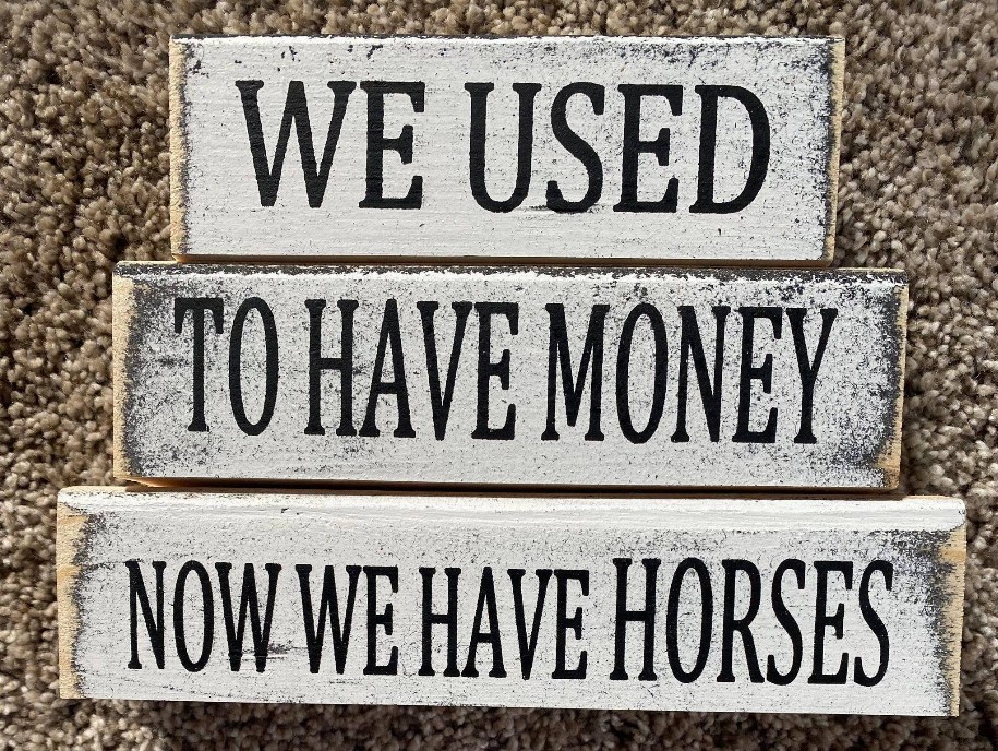 We Used To Have Now We Have Horses