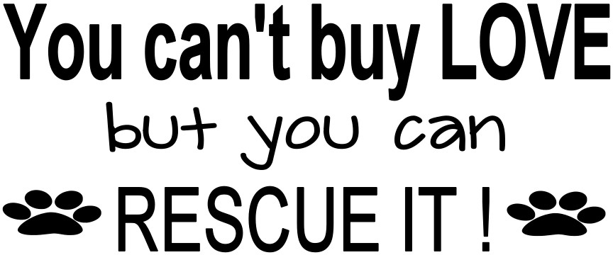 You Can'T Buy Love But You Can Rescue It