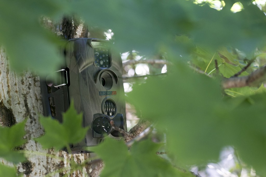 Hunting Game Camera w/ Test Mode To Set Video & Picture Parameters
