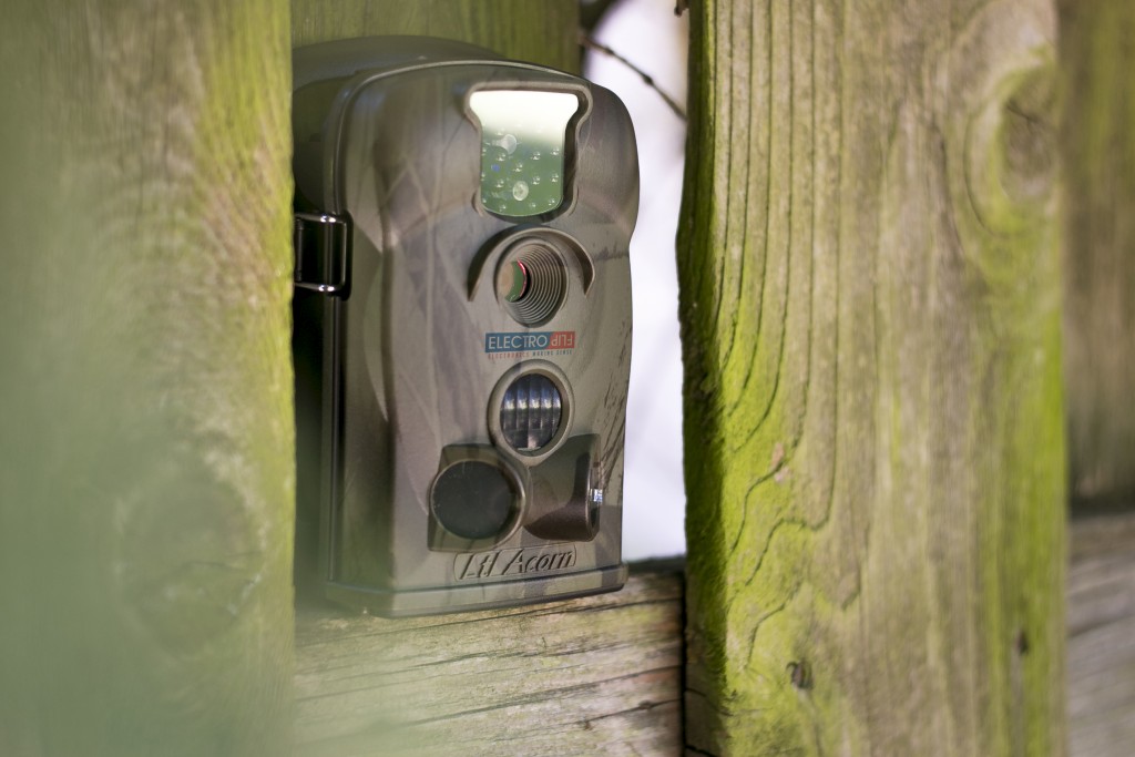 Waterproof AcornTrail w/ Distinct Mounting Choices Surveillance Camera