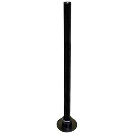 DS100 28" Pole