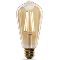 ST19/VG/LED Vintage Bulb