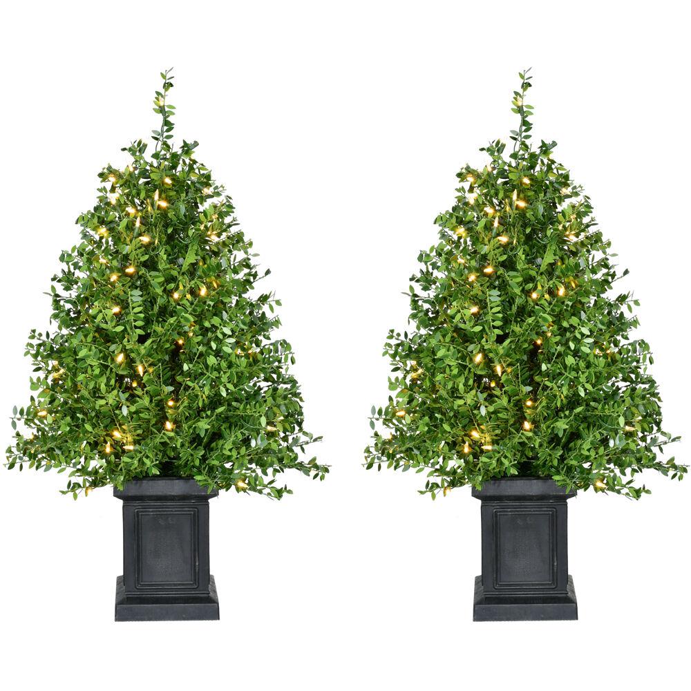 FHF 4' Boxwood Tree in Black Pot, SET of 2