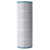 Antimicrobial Replacement Filter Cartridge for Sonfarrel 50 Pool and Spa Filter