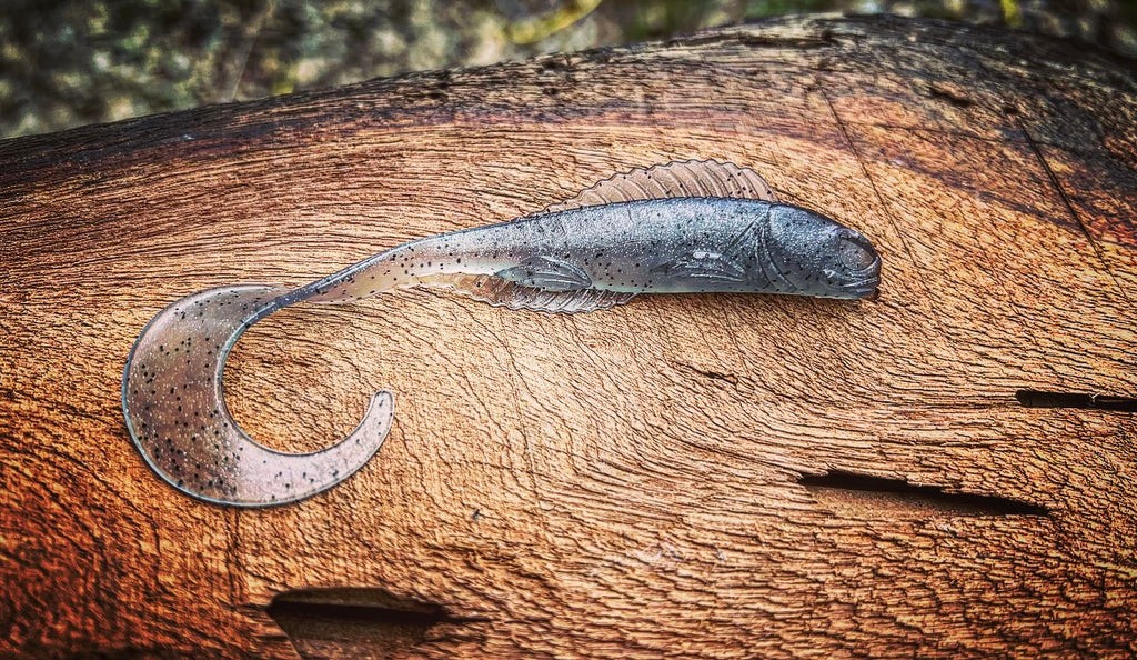 Marbleheader (Saltwater) Bayonet (Grey Shiner)