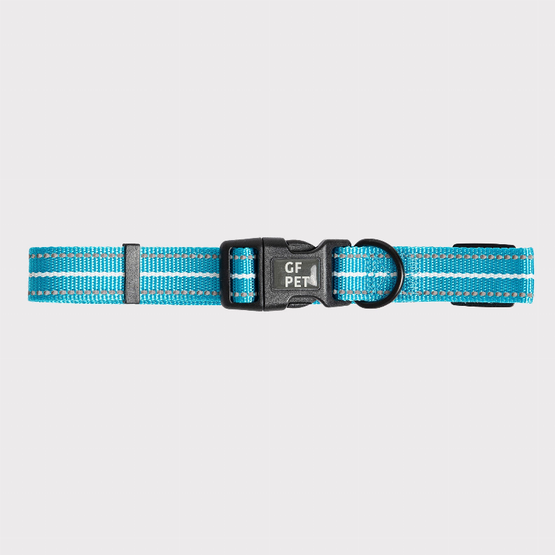 GF Pet  Reflective Collar Medium Neon Blue