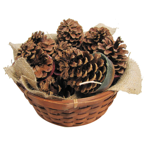 Cone Starter Willow Basket -10284