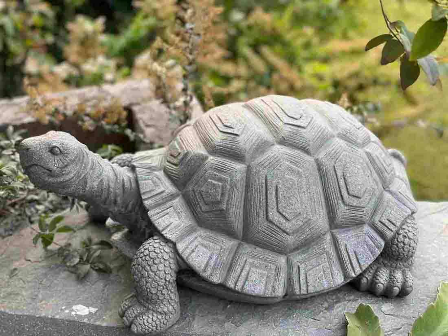 Tortoise Turtle Garden Statue