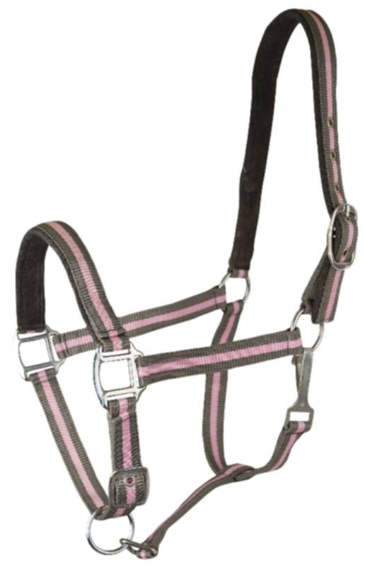 Gatsby 2-Tone Suede Padded Nylon Halter Cob Dk Grey w/Pink, Grey Padding