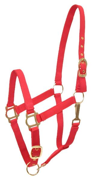 Gatsby Adjustable Nylon Halter With Snap Horse Red