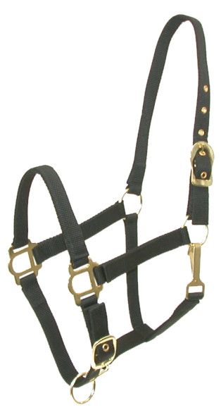 Gatsby Adjustable Nylon Halter With Snap Horse Black