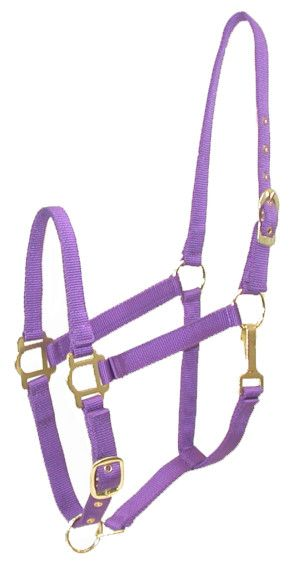 Gatsby Adjustable Nylon Halter With Snap Horse Purple