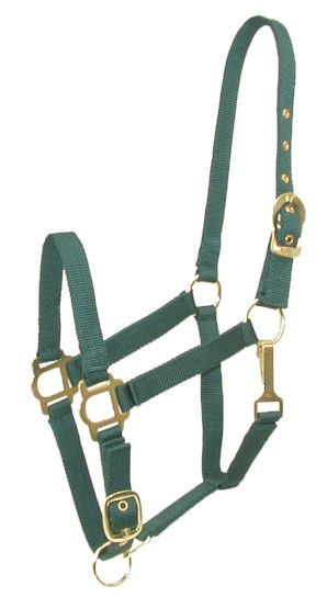 Gatsby Adjustable Nylon Halter With Snap Oversize Hunter