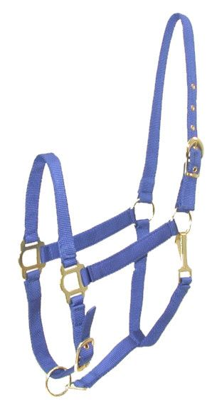 Gatsby Adjustable Nylon Halter With Snap Pony Royal