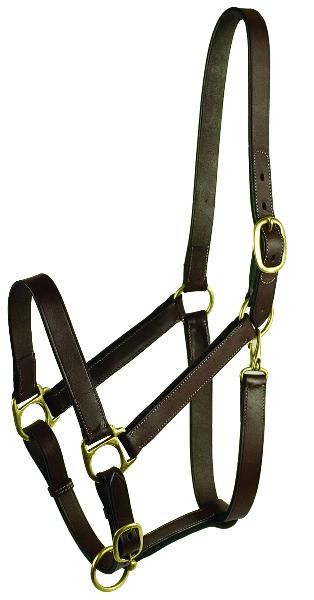 Gatsby Adjustable Turnout Halter With Snap Yearling Havana