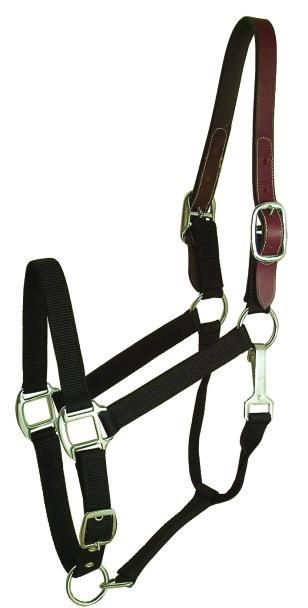 Gatsby Classic Nylon Breakaway Halter With Snap Cob Black