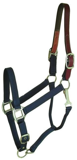 Gatsby Classic Nylon Breakaway Halter With Snap Cob Navy