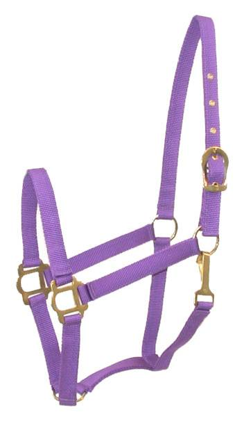 Gatsby Classic Nylon Halter with Snap Cob Purple