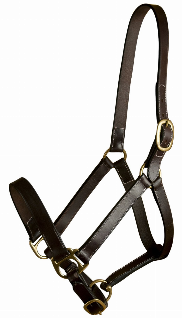 Gatsby Leather Adjustable Turnout Halter Without Snap - Yearling Havana