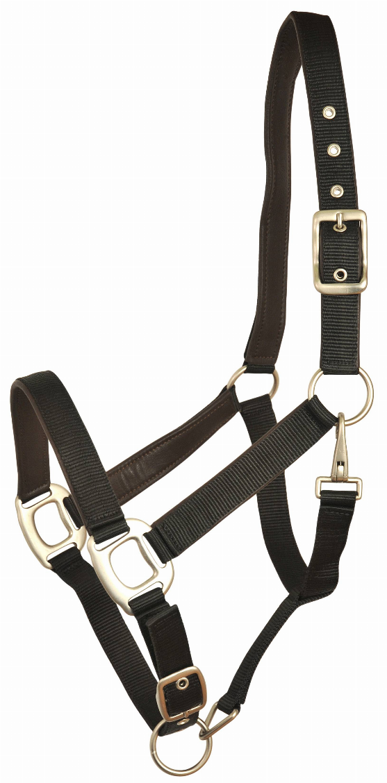 Gatsby Leather Padded Adjustable Nylon Halter Cob Black/Brown