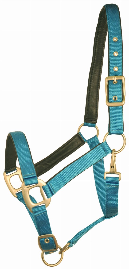 Gatsby Leather Padded Adjustable Nylon Halter Cob Blueberry/Brown