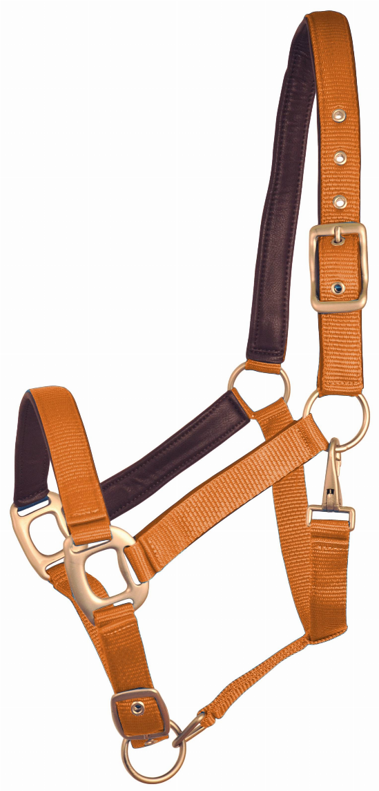 Gatsby Leather Padded Adjustable Nylon Halter Cob Pumpkin/Brown