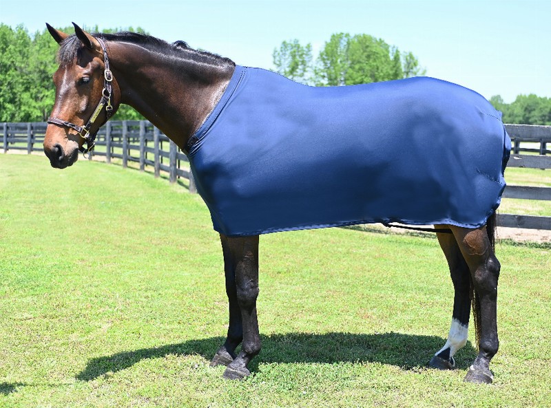 Gatsby Lycra Full Sheet Large (1100-1400lbs) Navy