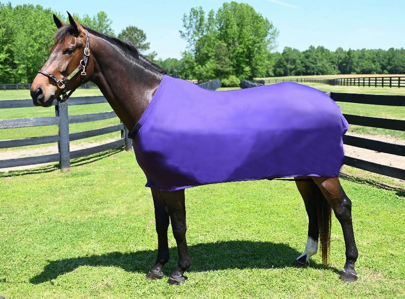 Gatsby Lycra Full Sheet Large (1100-1400lbs) Purple