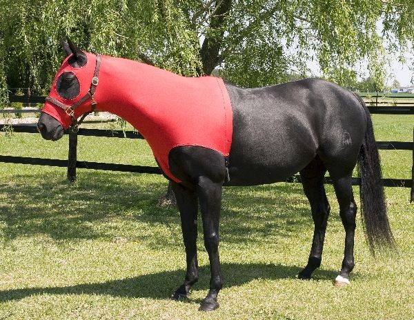 Gatsby Lycra Mane Stay Hood Medium (800-1100lbs) Red