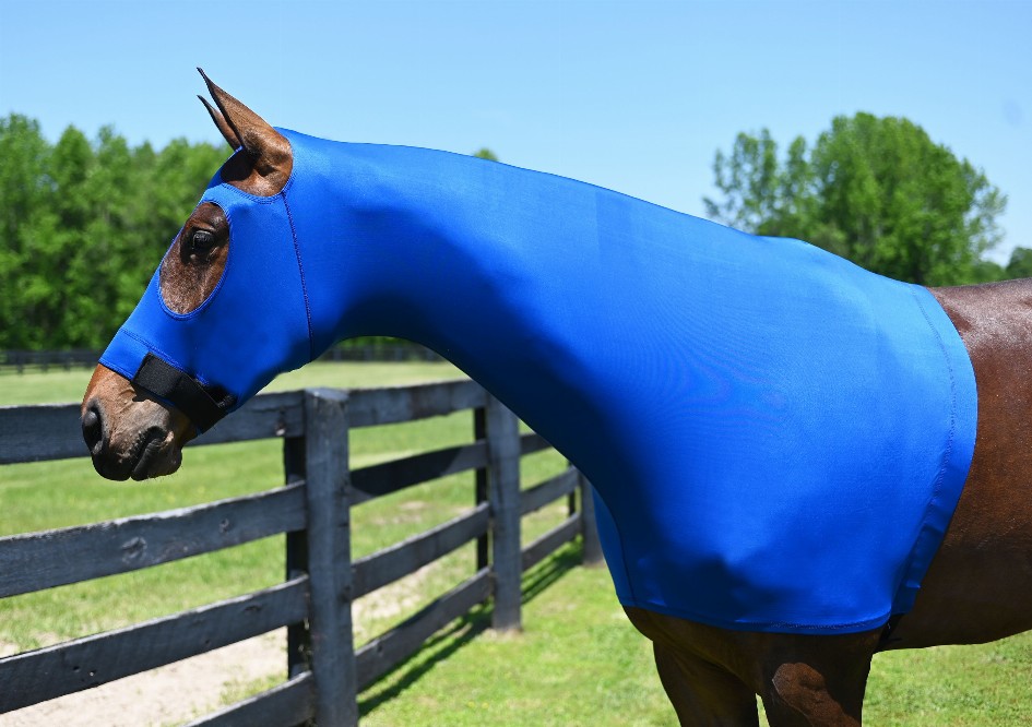 Gatsby Lycra Pull On Slicker Hood Small (500-800lbs) Royal