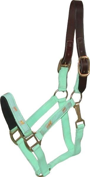 Gatsby Nylon Breakaway Halter With Horse Overlay & Snap Horse Mint Green