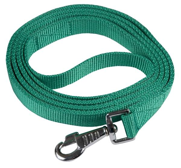 Gatsby Nylon Lead with Snap 6' Parrot Green