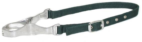 Gatsby Nylon Nutcracker Cribbing Strap - Hunter