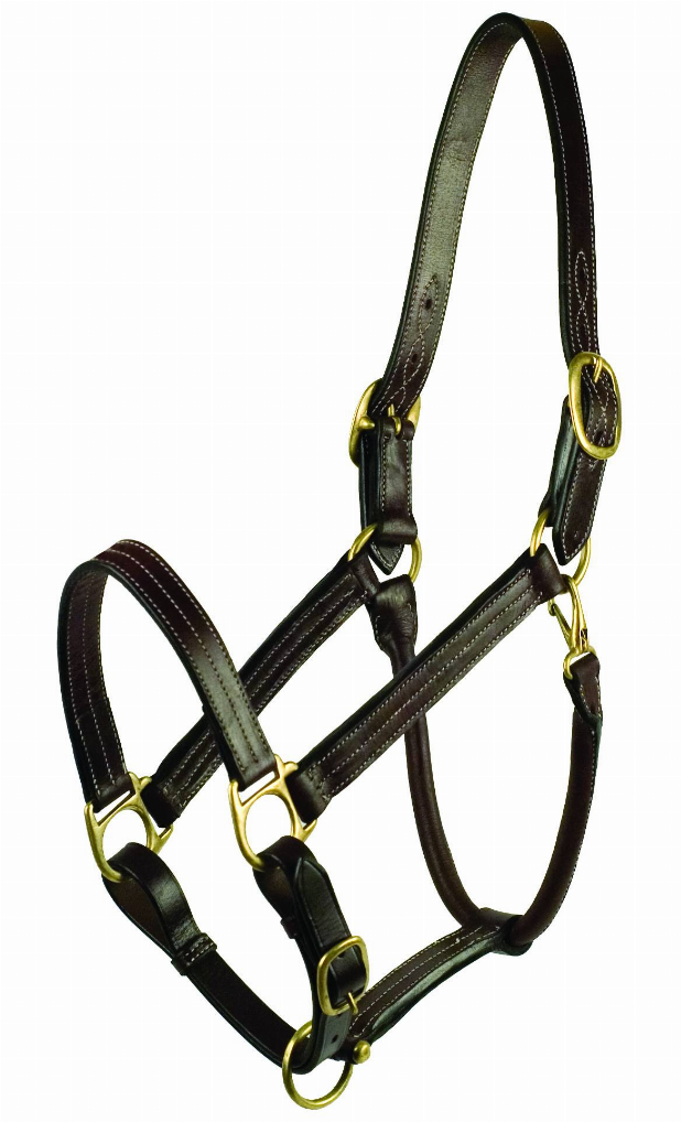 Gatsby Premium Adjustable Triple Stitched Halter