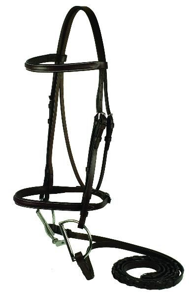 Gatsby Square Raised Bridle Horse Havanna