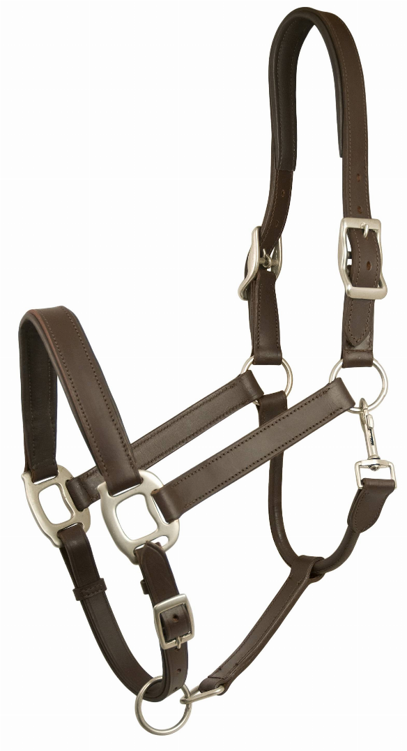 Gatsby Adjustable Padded Leather Halter Horse Brown