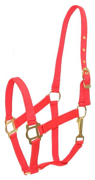 Gatsby Classic Nylon Halter with Snap Cob Red