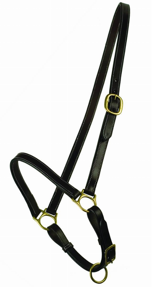 Gatsby Grooming Halter