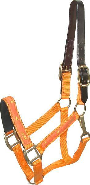 Gatsby Nylon Breakaway Halter with Horse Overlay & Snap Cob Orange