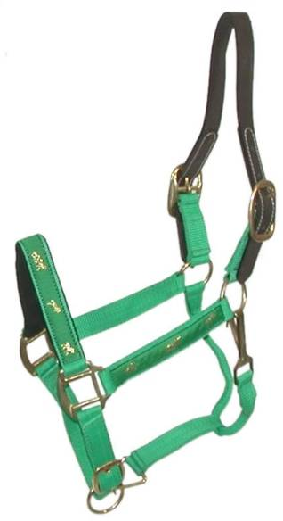 Gatsby Nylon Breakaway Halter with Horse Overlay & Snap Horse Parrot Green