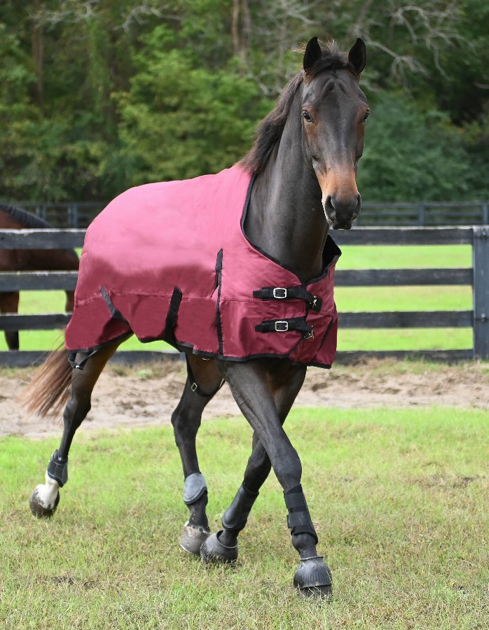 Gatsby Premium 1200D Heavyweight Waterproof Turnout Blanket 78" Merlot